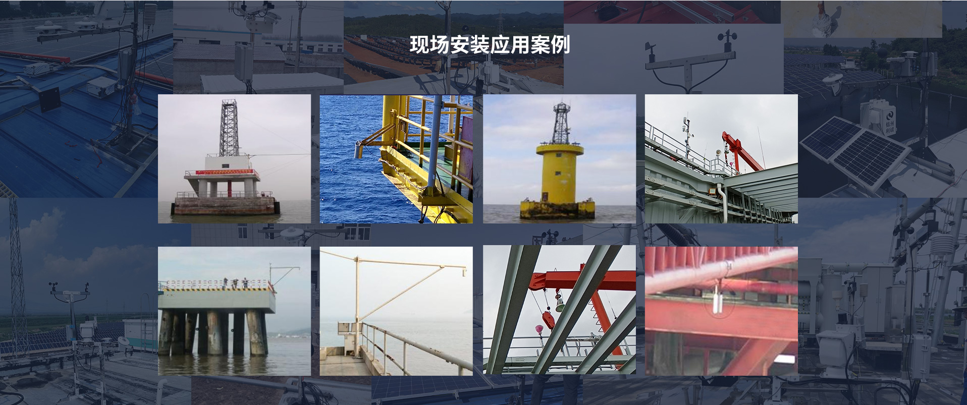 海洋黄色软件大全
